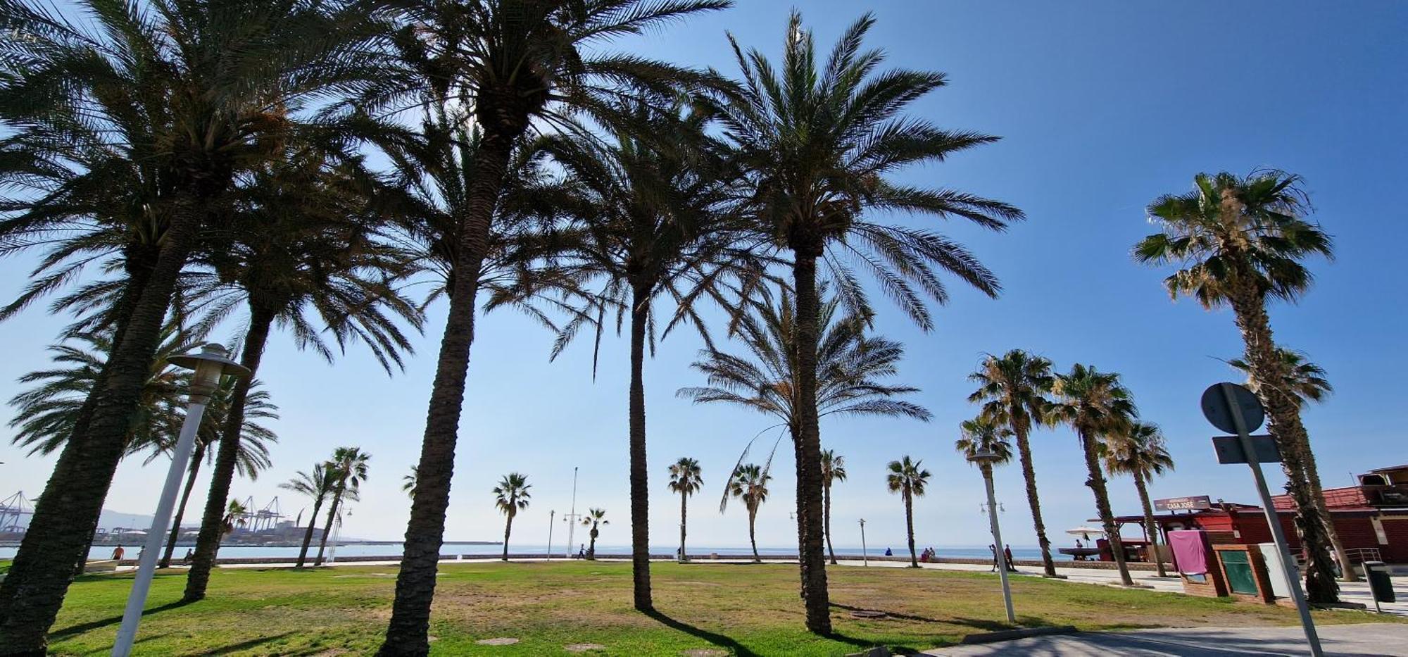 Paloma Beach Málaga Eksteriør bilde